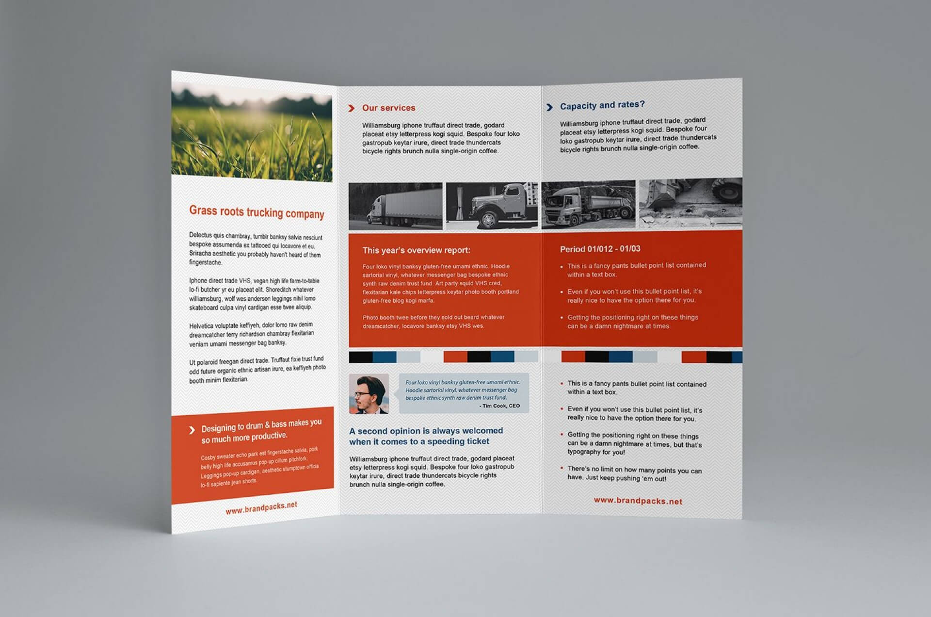 001 Microsoft Publisher Tri Fold Brochure Templates Free Pertaining To Fancy Brochure Templates