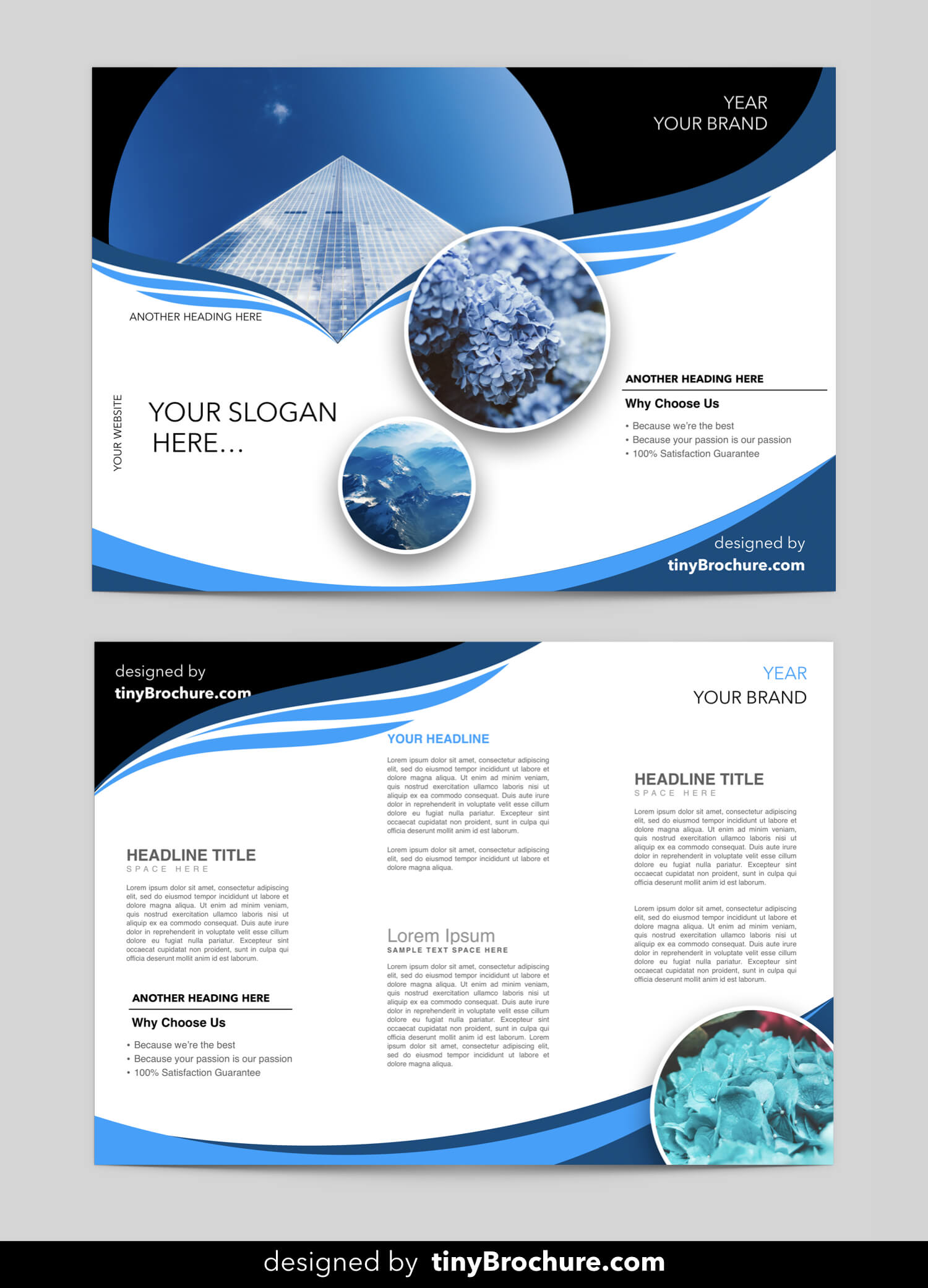 003 Microsoft Brochure Template Free Ideas Wondrous Within Free Brochure Templates For Word 2010