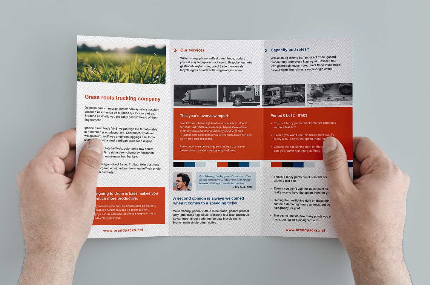 003 Template Ideas Free Corporate Trifold Brochure Tri Fold With Membership Brochure Template