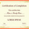 007 Certificate Of Completion Template Free Ideas Download Intended For Premarital Counseling Certificate Of Completion Template