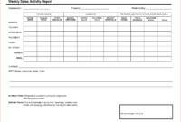 008 Sales Calls Report Template Format In Excel Free within Sales Visit Report Template Downloads