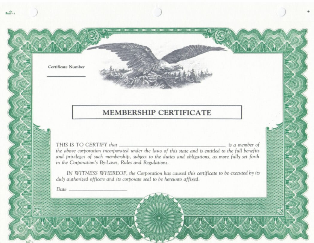 011 Duke6 Detail Llc Member Certificate Template Staggering Intended For Llc Membership Certificate Template