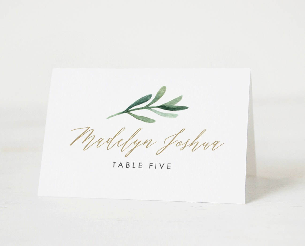 017 Printable Place Cards Template Breathtaking Ideas Free Intended For Paper Source Templates Place Cards