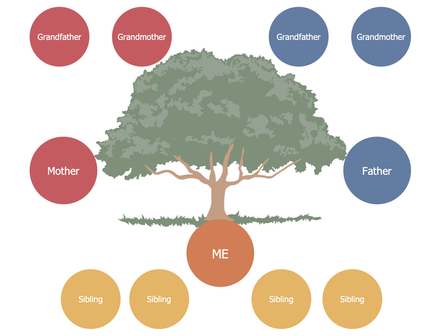 021 Diagrams Family Tree Template Simple Breathtaking Ideas With 3 Generation Family Tree Template Word