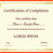 023 Template Ideas Certificate Free Templates For Fantastic Pertaining To Free Templates For Certificates Of Participation