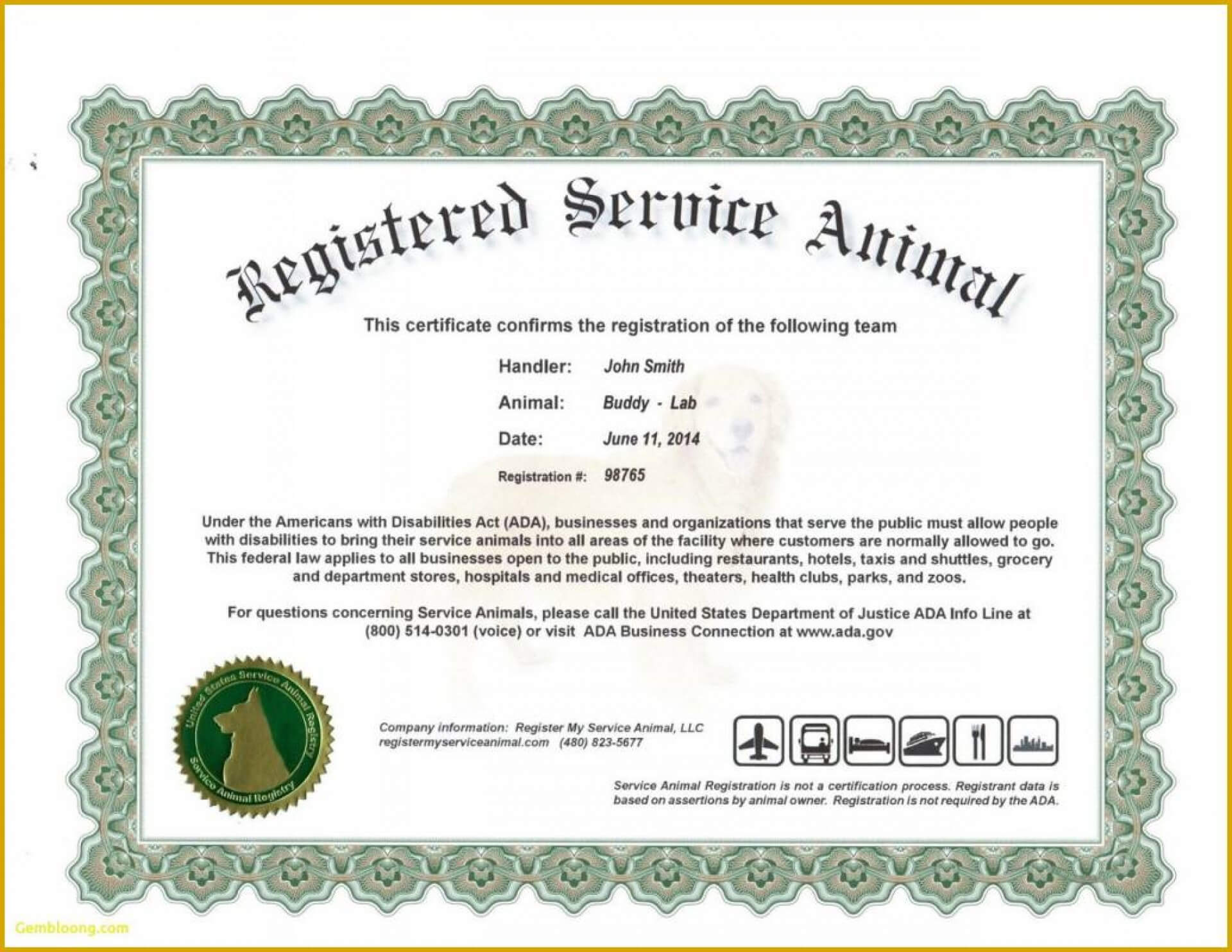 027 Service Animal Certificate Template With Dog New Unique Inside Service Dog Certificate Template