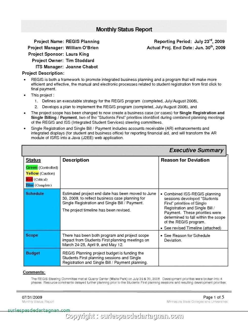 028 Monthly Sales Report Template Executive Manager Example Throughout Sales Manager Monthly Report Templates