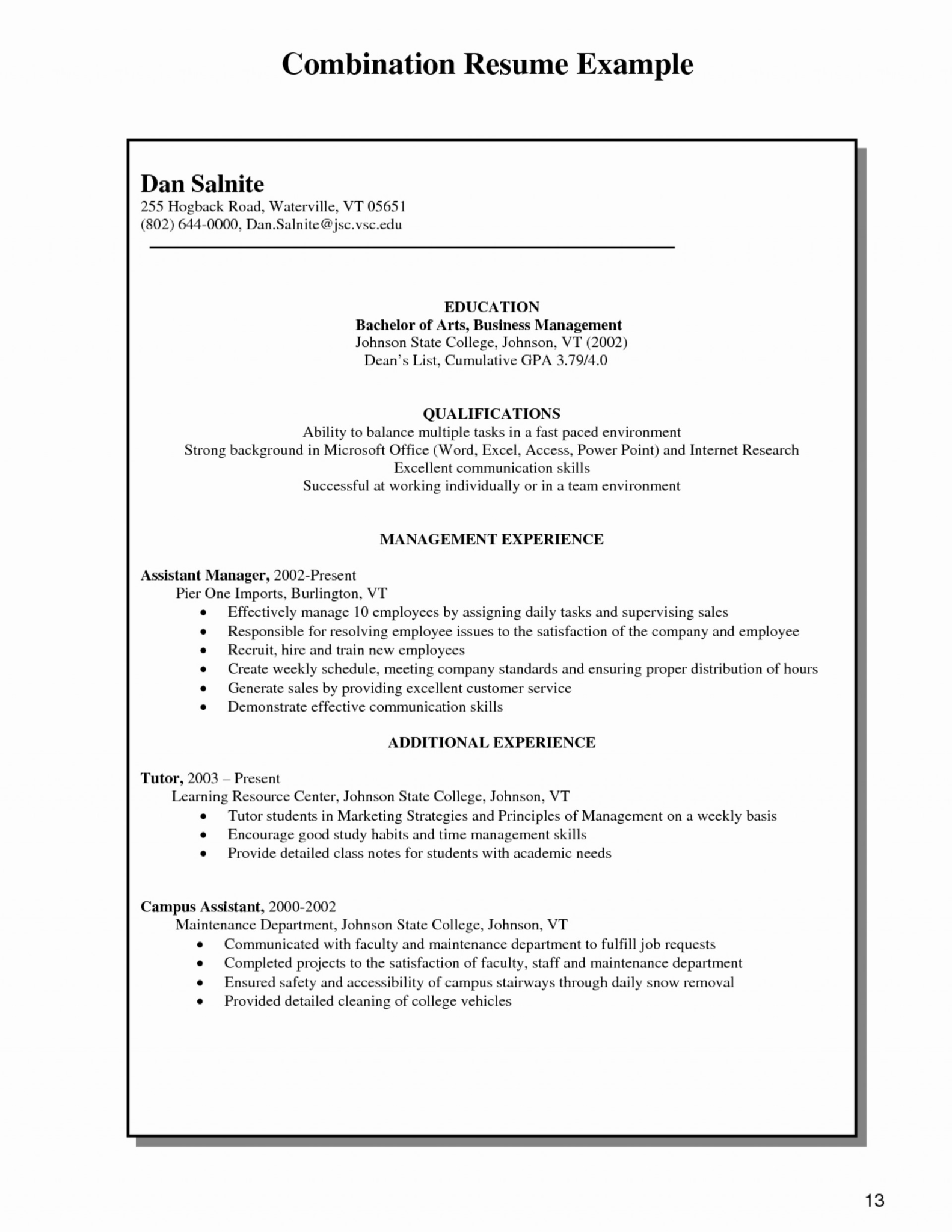 Combination Resume Template Word Professional Template