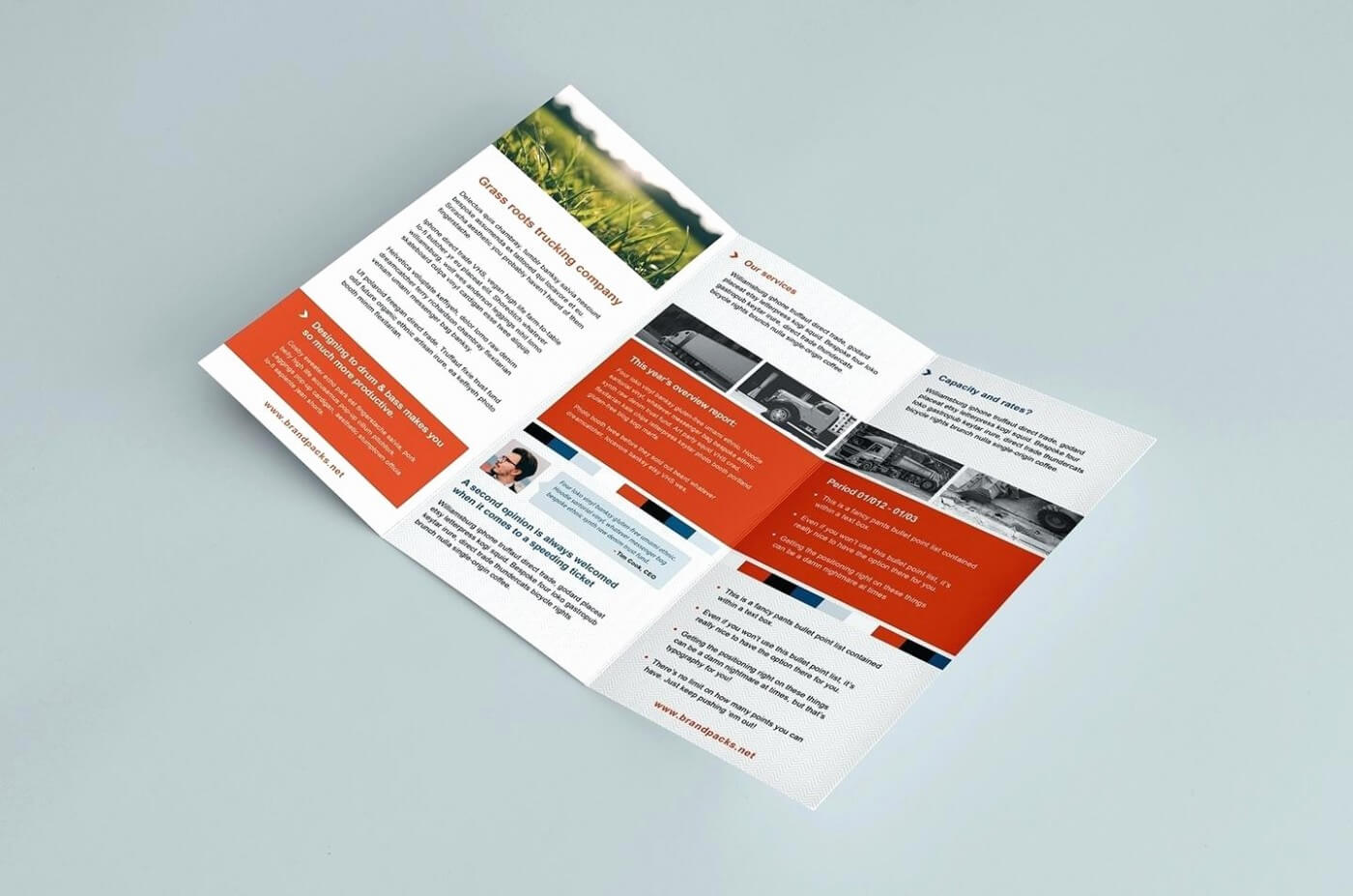 029 Tri Fold Brochure Template Publisher Elegant Microsoft Within Pop Up Brochure Template