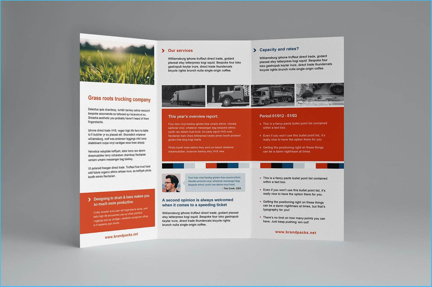 040 Tri Fold Brochure Template Free Download Powerpoint Regarding Illustrator Brochure Templates Free Download