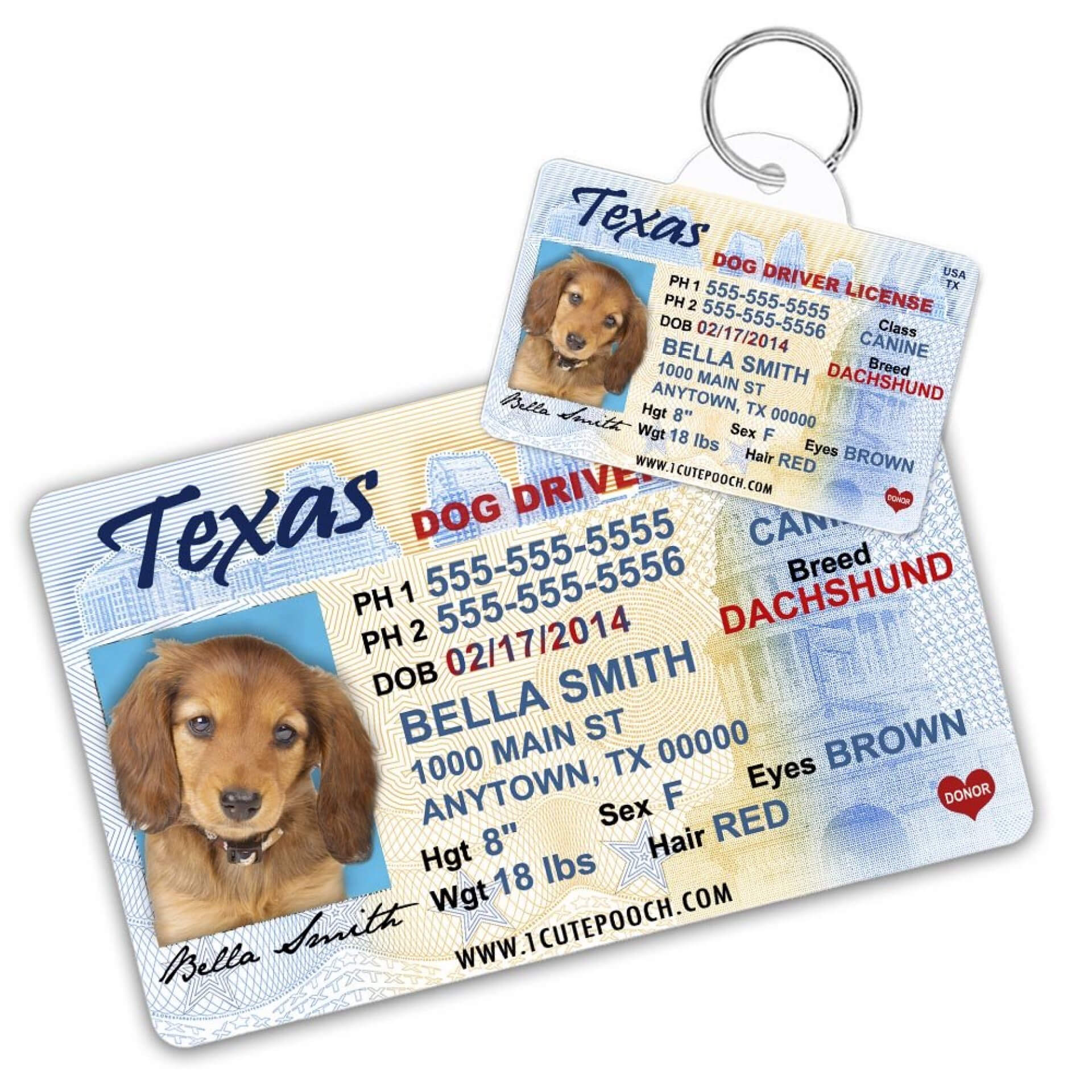 043 Printable Service Dog Id Card Template Staggering Ideas In Texas Id Card Template