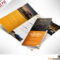 16 Tri Fold Brochure Free Psd Templates: Grab, Edit & Print Intended For 3 Fold Brochure Template Psd Free Download