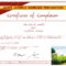 19 Fresh Premarital Counseling Certificate Pertaining To Premarital Counseling Certificate Of Completion Template