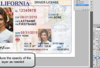 26 Images Of Georgia Identification Card Template for Georgia Id Card Template