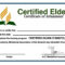 27 Images Of Free Printable Ordination Certificate Template With Certificate Of Ordination Template