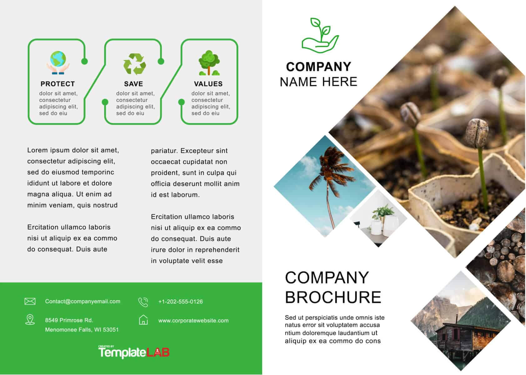 33 Free Brochure Templates (Word + Pdf) ᐅ Template Lab Throughout Play School Brochure Templates