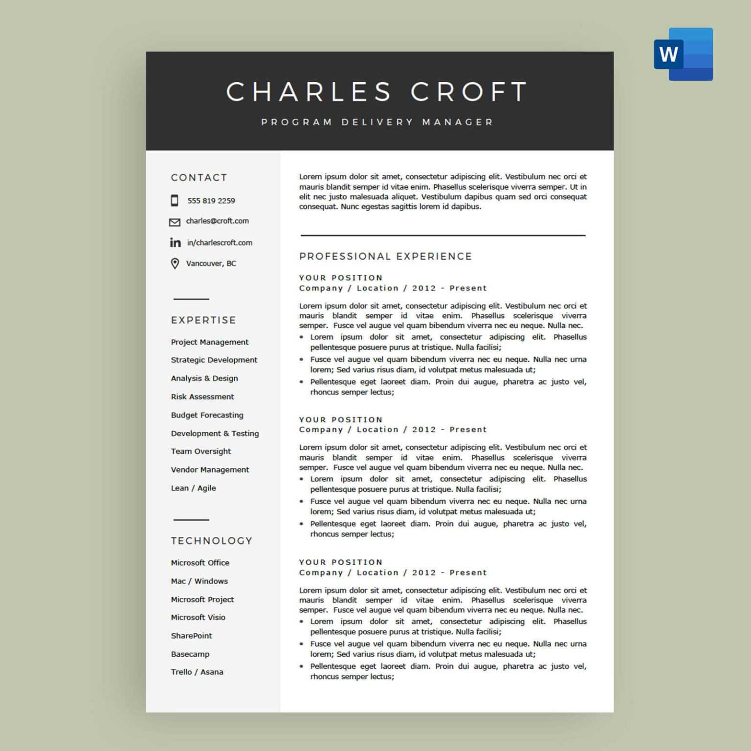 Resume Templates 2024 Word Audrey Nicholle