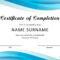 40 Fantastic Certificate Of Completion Templates [Word with regard to Template For Training Certificate