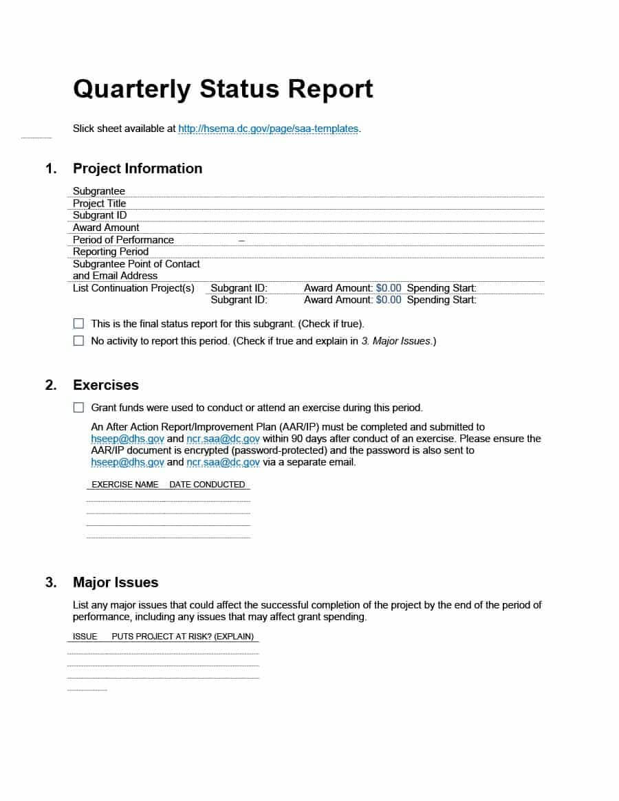 40+ Project Status Report Templates [Word, Excel, Ppt] ᐅ For Template For Information Report