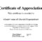 Appreciation Certificates Wording Church Certificate With Volunteer Certificate Template