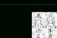 Autopsy Template - Yatay.horizonconsulting.co with Autopsy Report Template