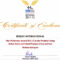 Award Certificate Templates You 39 Re A Star Award Throughout Star Performer Certificate Templates