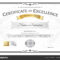 Award Of Excellence Certificate Template – Bolan For Free Certificate Of Excellence Template