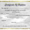 Baptism Certificate Template Pdf – Carlynstudio Pertaining To Baptism Certificate Template Download