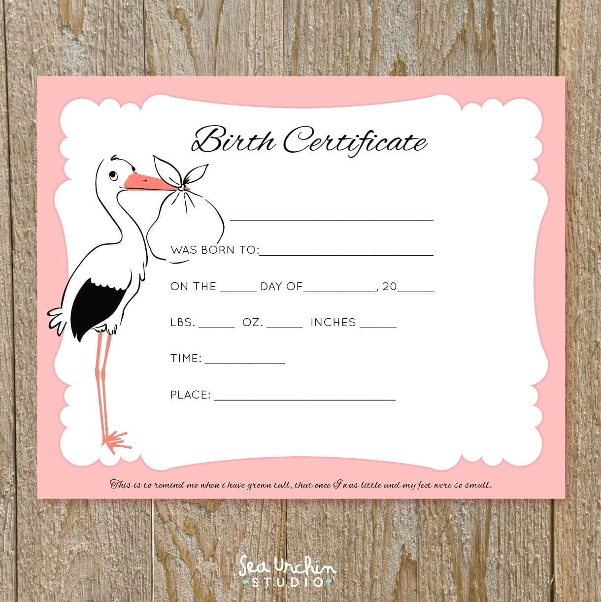 Birth Certificate Free Printable - Yatay.horizonconsulting.co Regarding Girl Birth Certificate Template