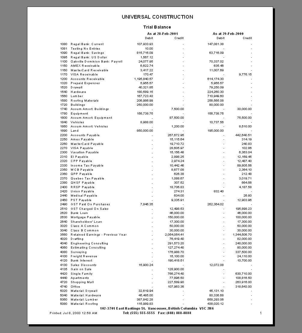 Bizman Income Statements Throughout Trial Report Template