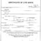 Blank Birth Certificate Form Fresh Birth Certificates 101 With Fake Birth Certificate Template