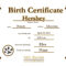 Blank Birth Certificate Template For Elements Novelty Images In Novelty Birth Certificate Template