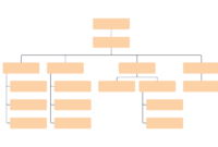 Blank Org Chart Template | Lucidchart with regard to Free Blank Organizational Chart Template