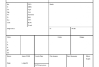 Brain Nurse Report Sheet Template - Nursejanx Store throughout Nursing Report Sheet Template