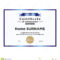 Certificate Of Achievement Template. They Are Fully And Within Blank Certificate Of Achievement Template