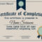 Certificate Of Completion Design Template In Certification Of Completion Template