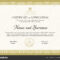 Certificate Template Diploma Modern Design Gift Certificate For Company Gift Certificate Template