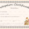 Child Adoption Certificate Template pertaining to Blank Adoption Certificate Template