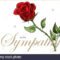Condolences Sympathy Card Floral Red Roses Bouquet And Intended For Sympathy Card Template