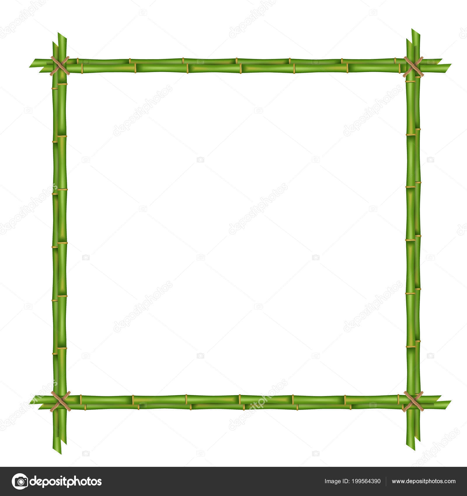 Creative Vector Illustration Bamboo Stems Frame Isolated In Blank Stem And Leaf Plot Template