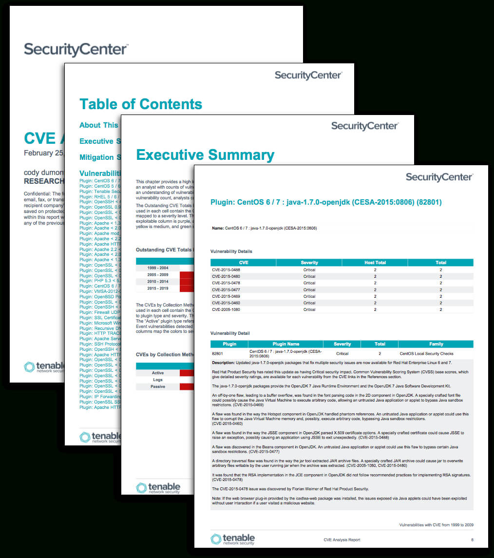 Cve Analysis Report – Sc Report Template | Tenable® In Information Security Report Template