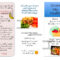 Dash Diet Brochure | Nutr 360 With Nutrition Brochure Template