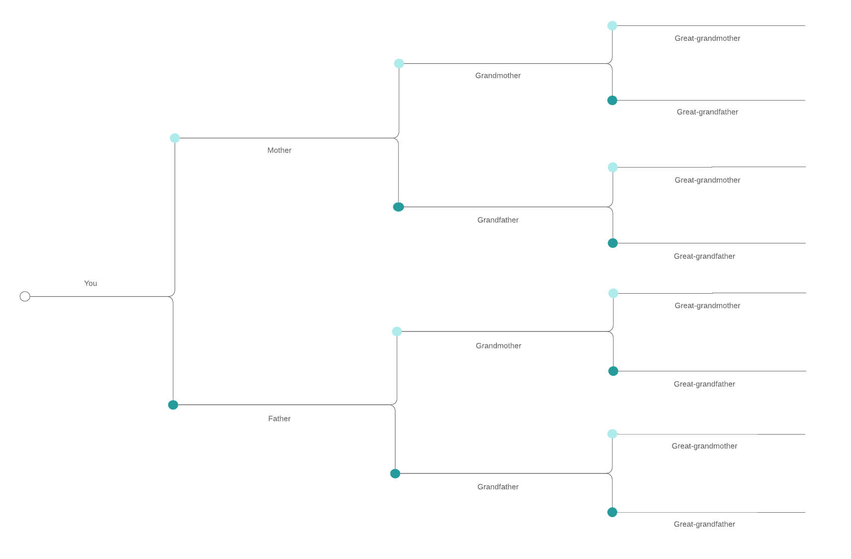 Diagram Of Family Tree – Zohre.horizonconsulting.co Inside Blank Tree Diagram Template