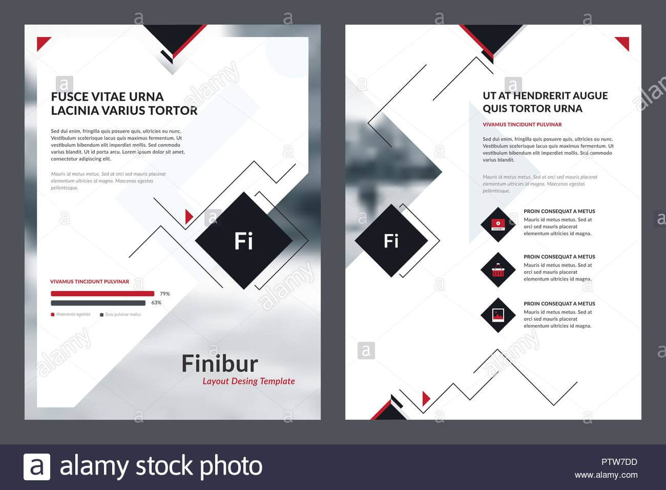 Elements Of Infographics For Brochure Template And Magazine Throughout Membership Brochure Template