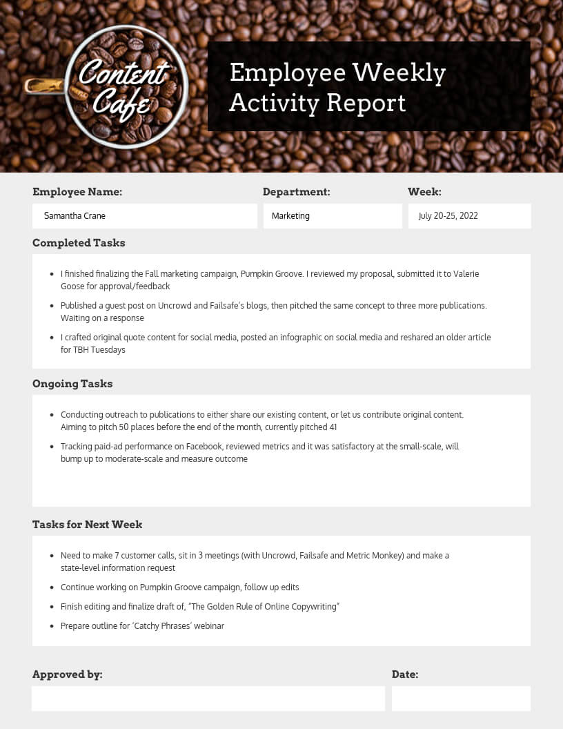 Employee Weekly Status Report In Staff Progress Report Template