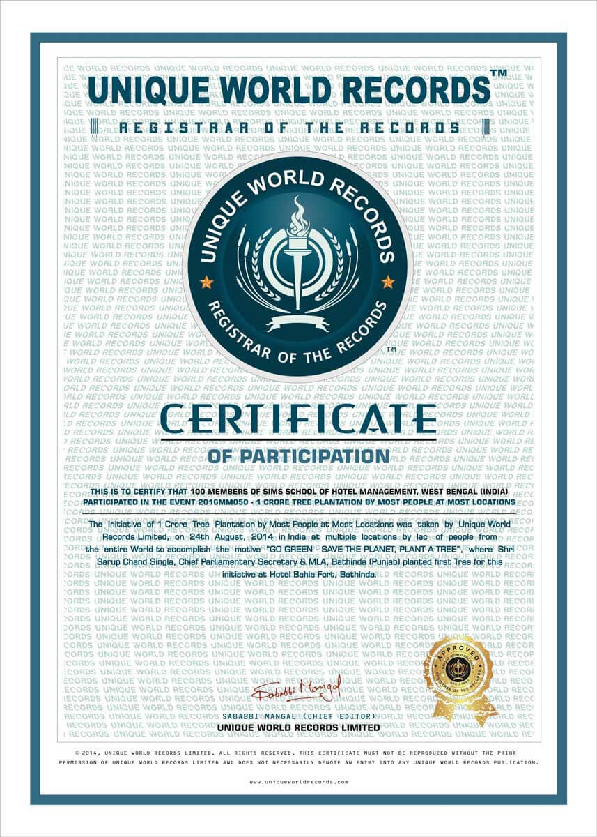 Fake Guinness World Record Certificate - Topa With Regard To Guinness World Record Certificate Template