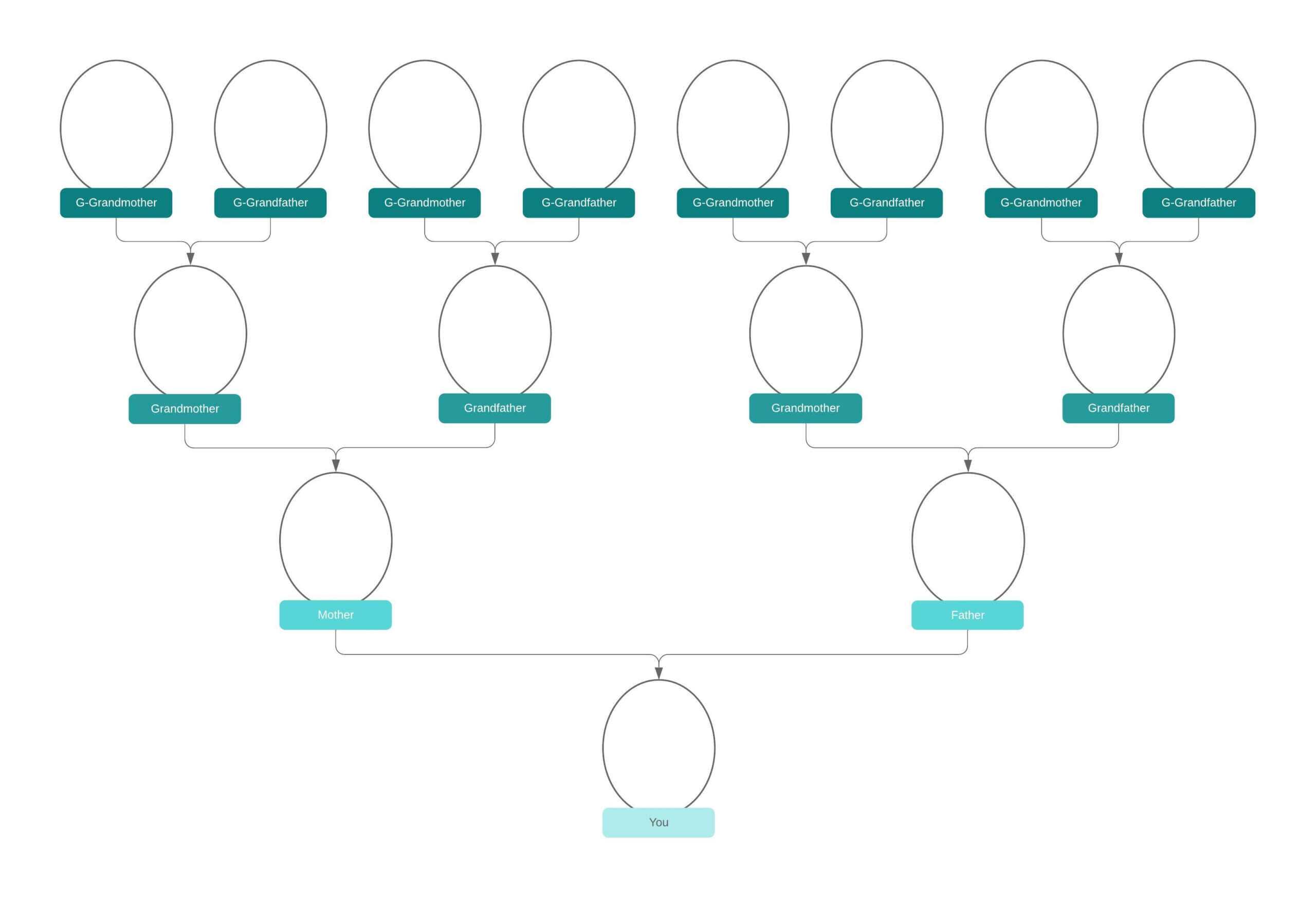 Family Tree Generator | Lucidchart Pertaining To Blank Tree Diagram Template