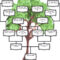 Family Tree Template: Family Tree Template For 3 Generations With Regard To Blank Family Tree Template 3 Generations