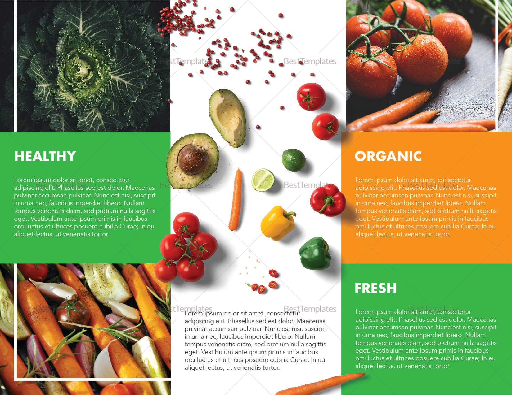 Food Brochure Template Inside Nutrition Brochure Template