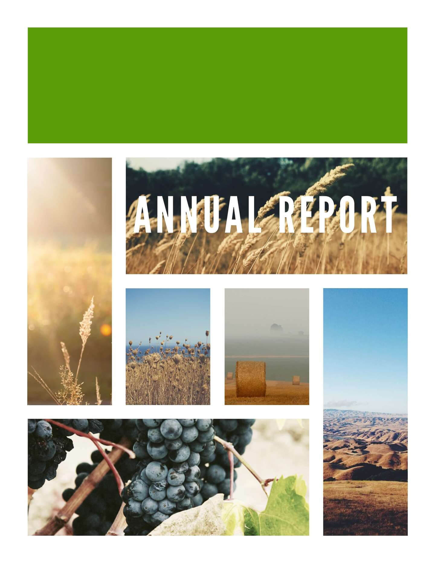 Free Annual Report Templates & Examples [6 Free Templates] For Free Annual Report Template Indesign